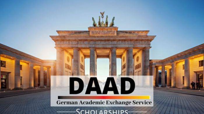 DAAD University of Hohenheim AgEcon Scholarships for Developing Countries 2022