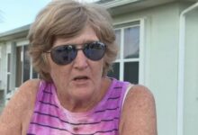 old lady alligator attack